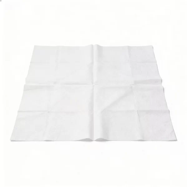 Laser Edge Clean Wiper