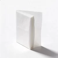 Laser Edge Clean Wiper